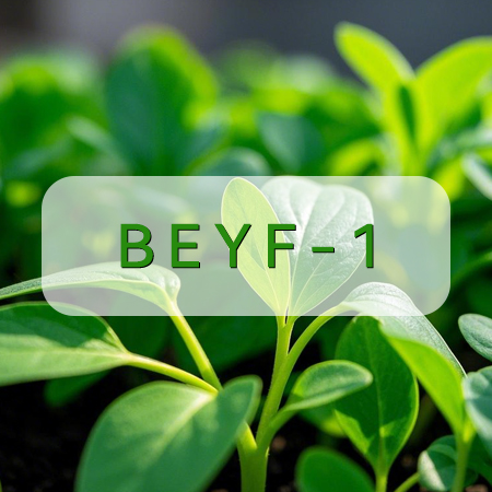 BEYF-1