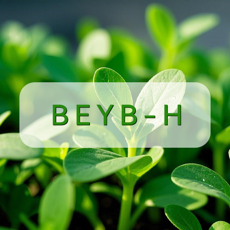 BEYB-H