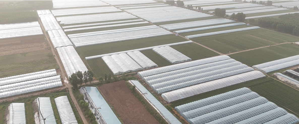 积极进取,行业先锋