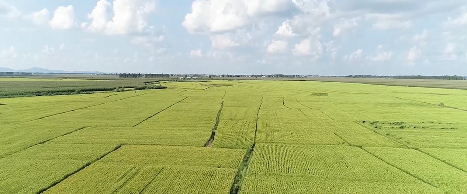 安全高效,绿色环保